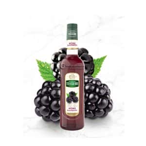 Syrup Teisseire mâm xôi đen (Blackberry) 70cl