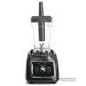 Máy Xay Sinh Tố Công Nghiệp Promix PM – 819B